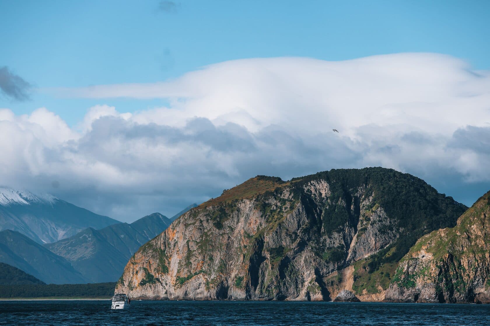 отправимся в морское сафари с китами и косатками