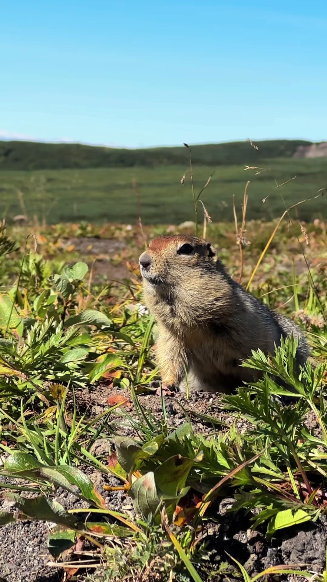 исследуем древний массив вачкажец с его горными цирками и водопадами